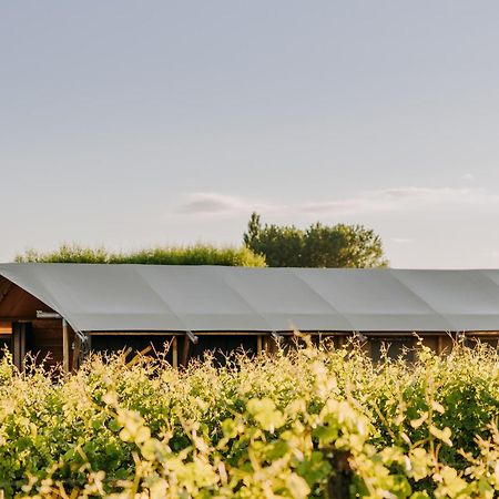 Villas & Vines Glamping Hastings Kültér fotó