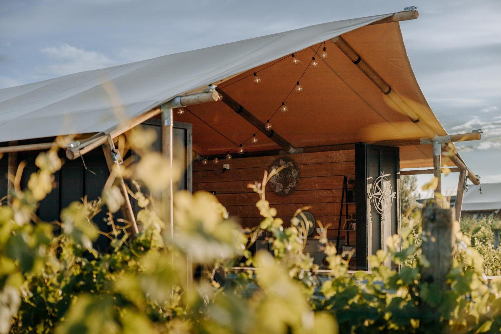 Villas & Vines Glamping Hastings Kültér fotó