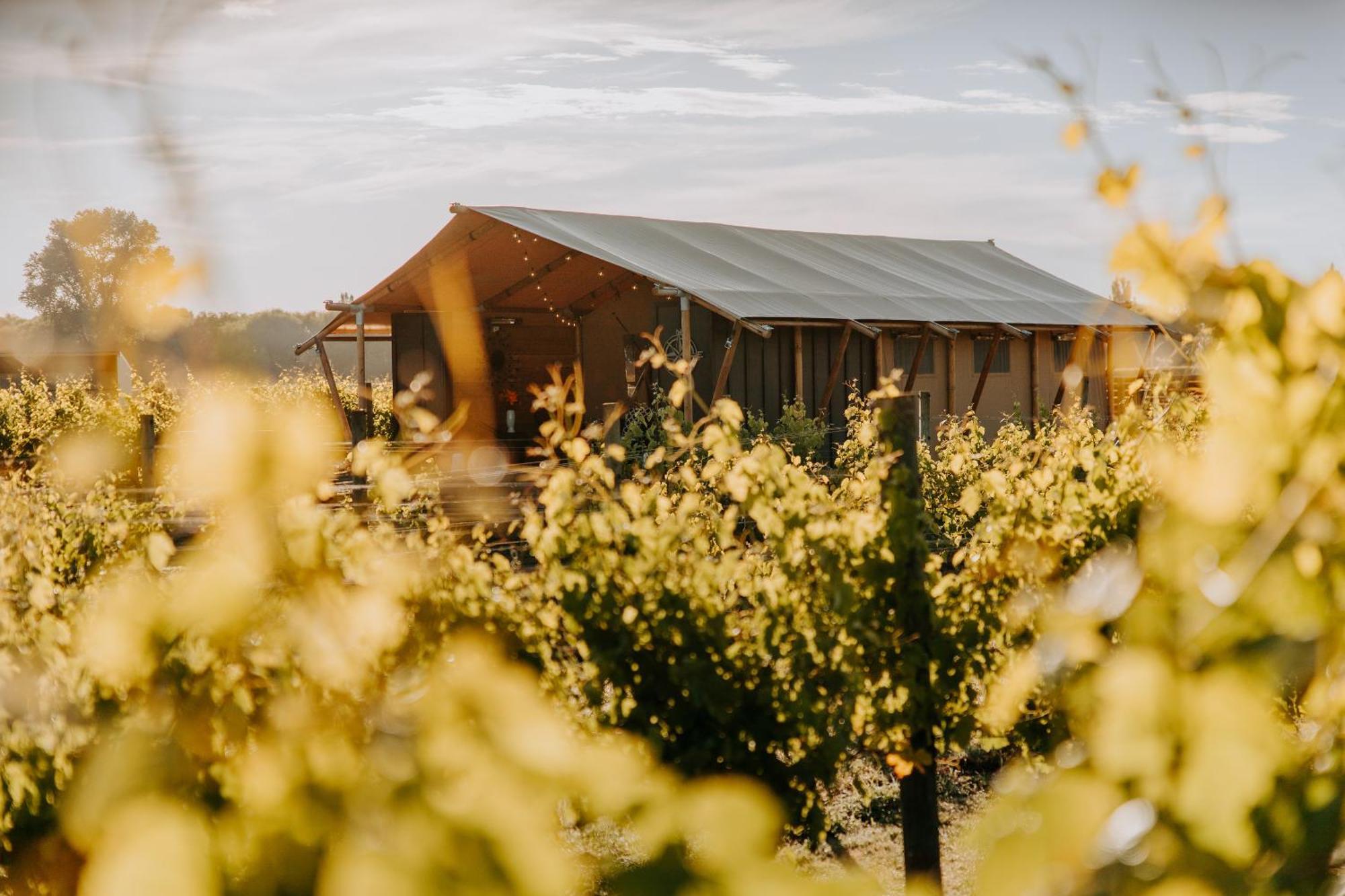 Villas & Vines Glamping Hastings Kültér fotó