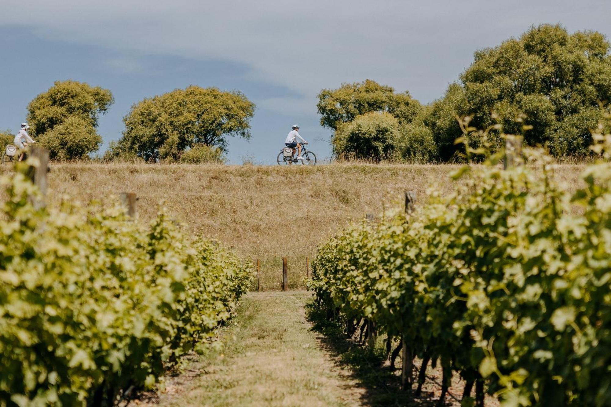 Villas & Vines Glamping Hastings Kültér fotó