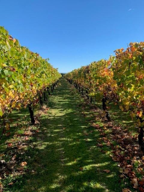 Villas & Vines Glamping Hastings Kültér fotó